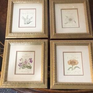 Gold Framed Flower Botanical Prints Set of 4 Excellent Condition